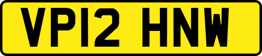VP12HNW