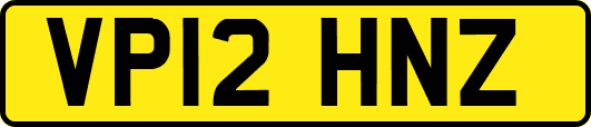 VP12HNZ