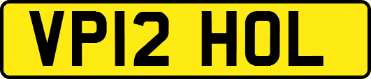 VP12HOL