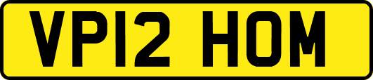 VP12HOM