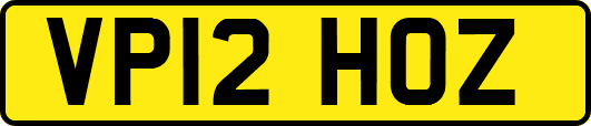 VP12HOZ