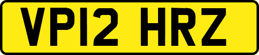 VP12HRZ