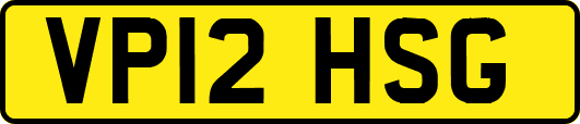 VP12HSG