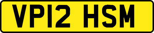 VP12HSM