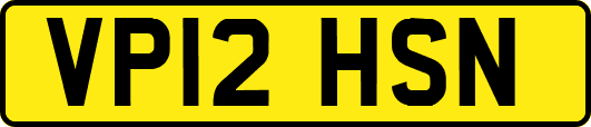 VP12HSN
