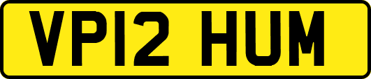 VP12HUM