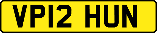 VP12HUN