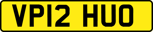 VP12HUO
