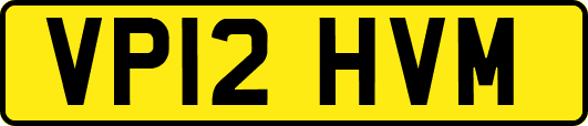 VP12HVM