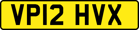 VP12HVX