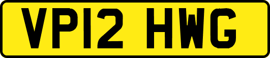 VP12HWG