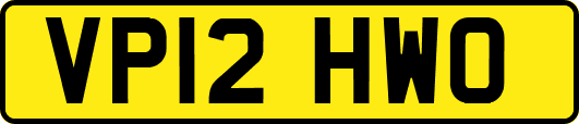 VP12HWO