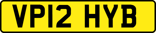 VP12HYB