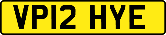 VP12HYE
