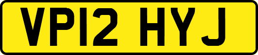 VP12HYJ