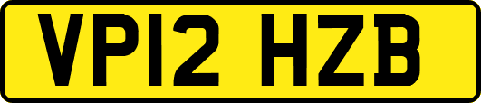 VP12HZB