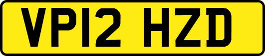 VP12HZD
