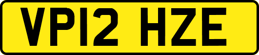 VP12HZE