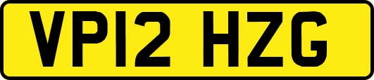 VP12HZG