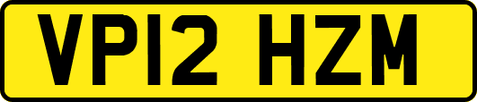 VP12HZM