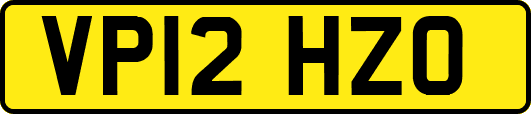 VP12HZO