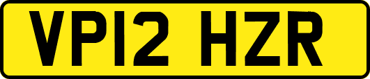 VP12HZR