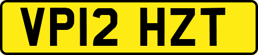 VP12HZT