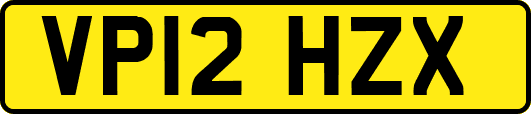 VP12HZX