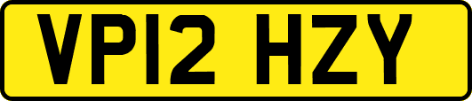 VP12HZY