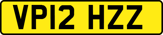 VP12HZZ