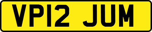 VP12JUM
