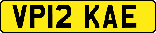 VP12KAE