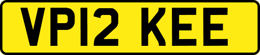 VP12KEE