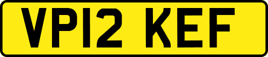 VP12KEF