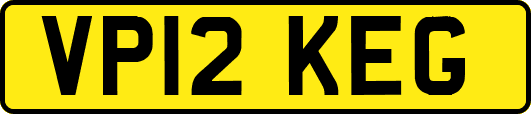 VP12KEG