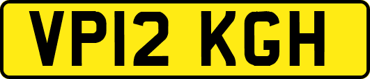 VP12KGH