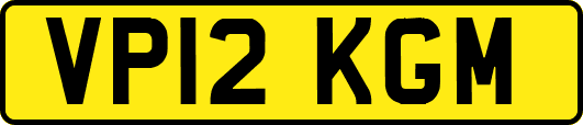 VP12KGM
