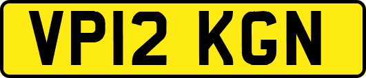 VP12KGN
