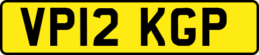 VP12KGP