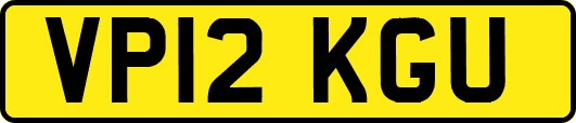 VP12KGU