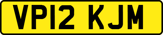 VP12KJM