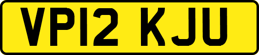 VP12KJU