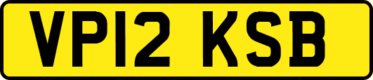 VP12KSB