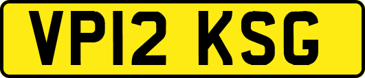 VP12KSG