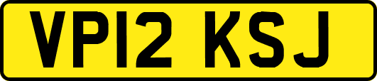 VP12KSJ