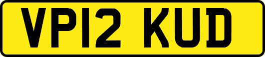 VP12KUD
