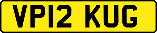 VP12KUG