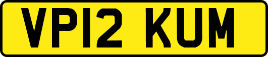 VP12KUM