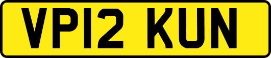 VP12KUN