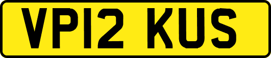 VP12KUS
